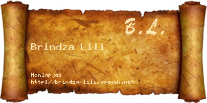 Brindza Lili névjegykártya